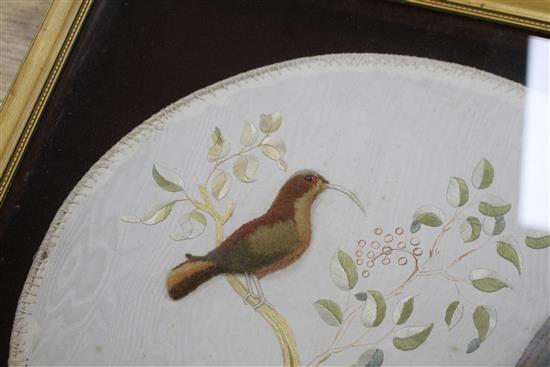 A Victorian silk and felt work hand screen, decorated with exotic birds, framed, 40 x 38cm